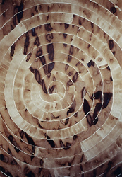 Willi Frommberger - Großes Streifenbild - Spirale, 2002